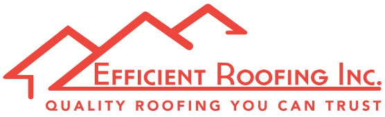 efficient-logo-2
